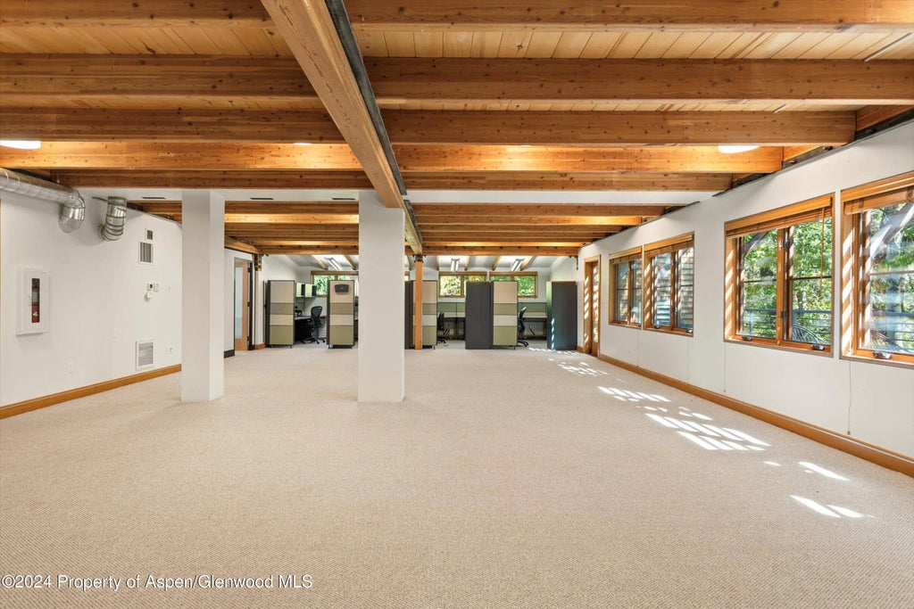 5 of 16 - 229 Midland Avenue D2, Basalt, CO