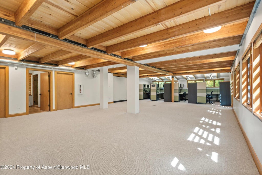 6 of 16 - 229 Midland Avenue D2, Basalt, CO