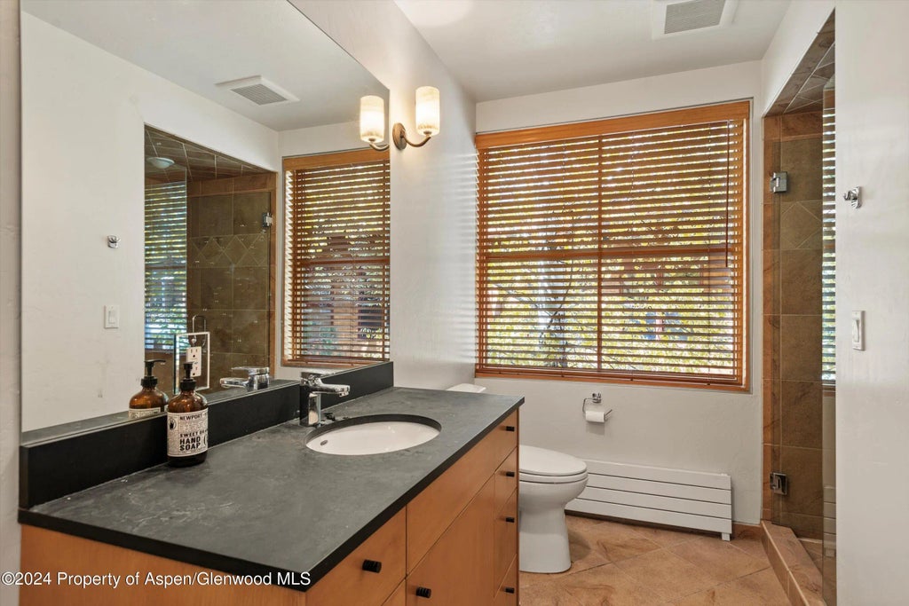 9 of 16 - 229 Midland Avenue D2, Basalt, CO