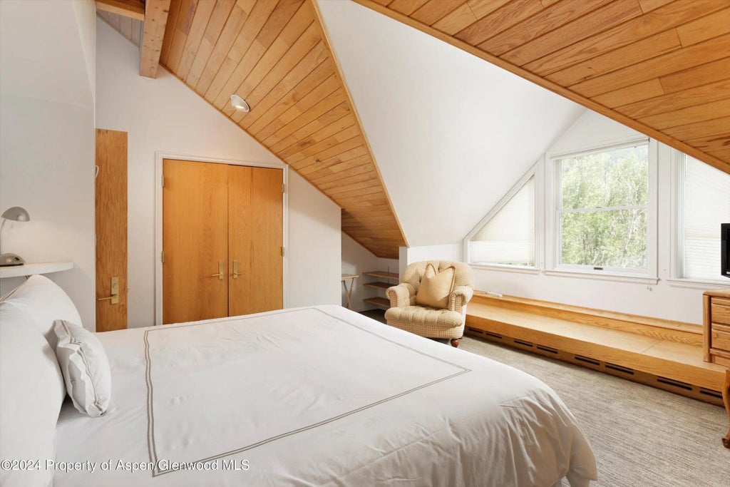 10 of 21 - 1500 Ute Avenue, Aspen, CO