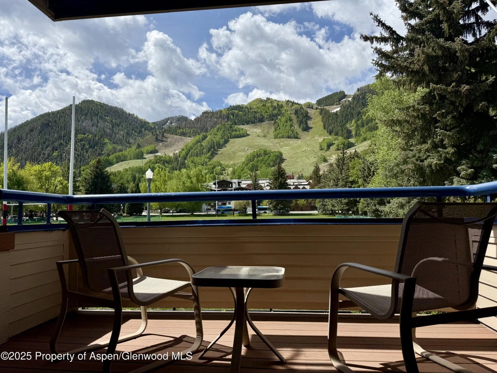 1 of 16 - 301 E Hyman Avenue #205 (wks 21,22,38), Aspen, CO