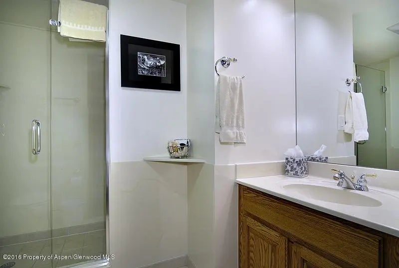 10 of 16 - 301 E Hyman Avenue #205 (wks 21,22,38), Aspen, CO