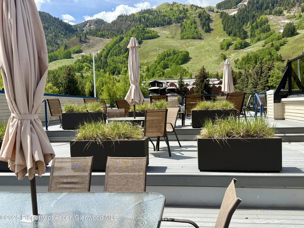12 of 16 - 301 E Hyman Avenue #205 (wks 21,22,38), Aspen, CO