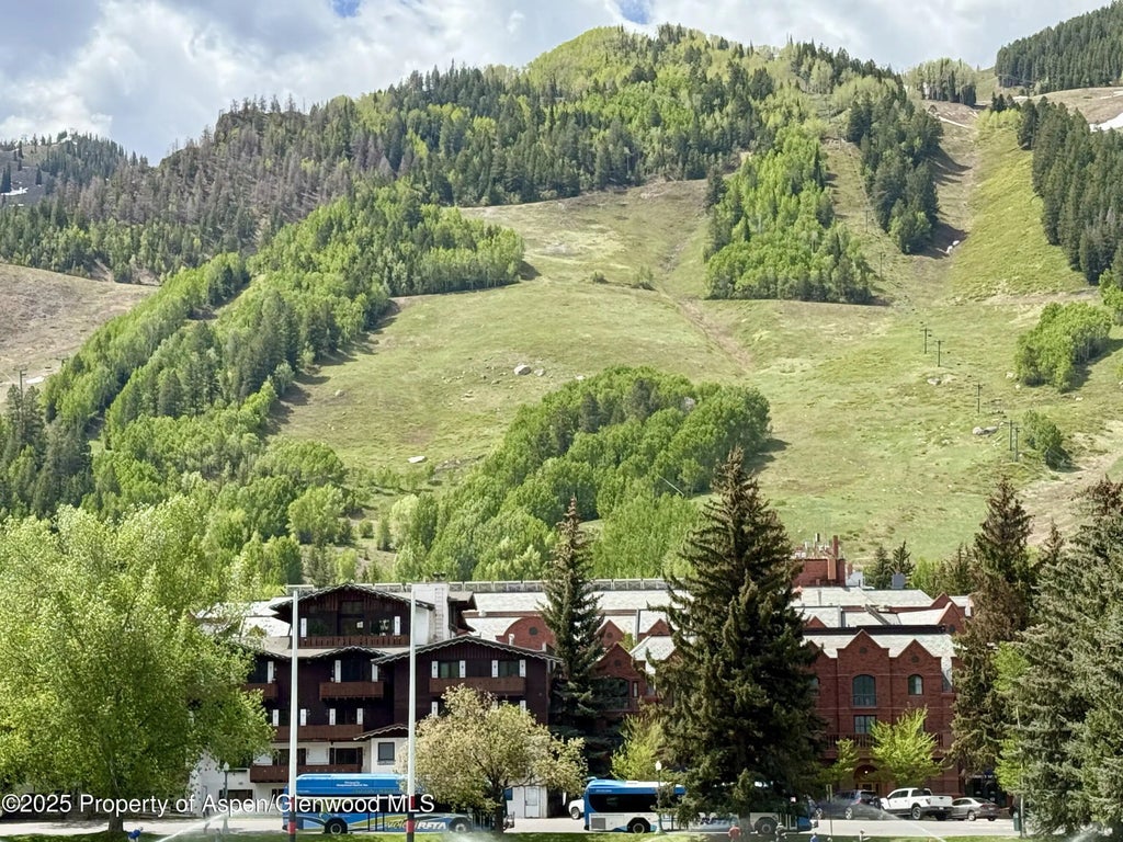 14 of 16 - 301 E Hyman Avenue #205 (wks 21,22,38), Aspen, CO
