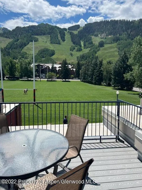 15 of 16 - 301 E Hyman Avenue #205 (wks 21,22,38), Aspen, CO