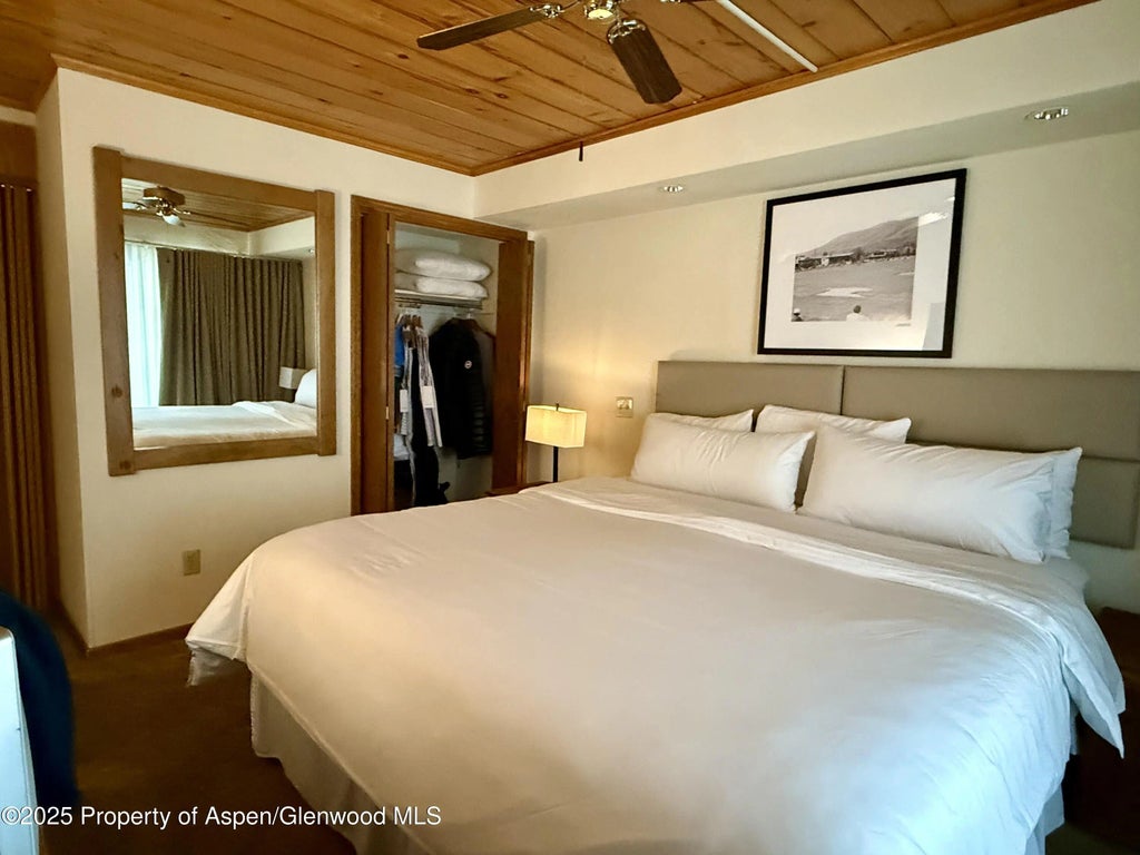 3 of 16 - 301 E Hyman Avenue #205 (wks 21,22,38), Aspen, CO