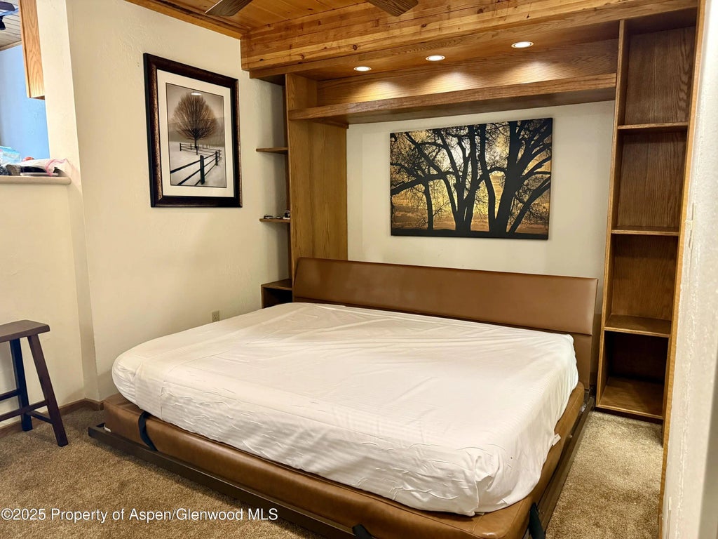 5 of 16 - 301 E Hyman Avenue #205 (wks 21,22,38), Aspen, CO