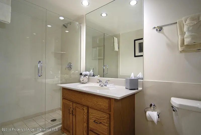 9 of 16 - 301 E Hyman Avenue #205 (wks 21,22,38), Aspen, CO