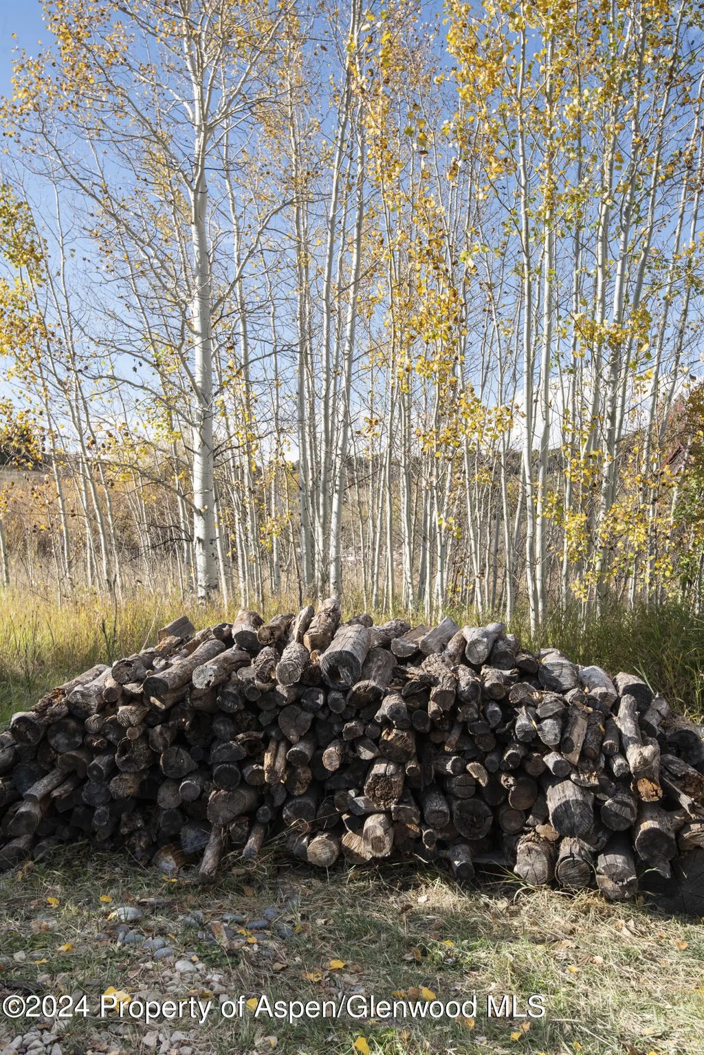 29 of 35 - 300 Little Elk Creek Avenue, Snowmass, CO