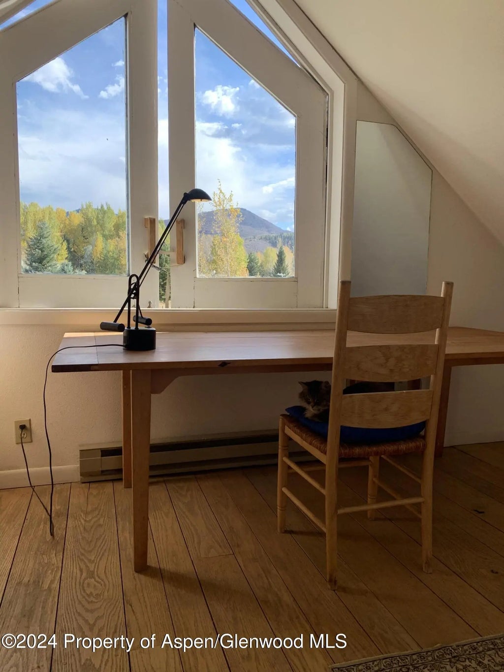 34 of 35 - 300 Little Elk Creek Avenue, Snowmass, CO