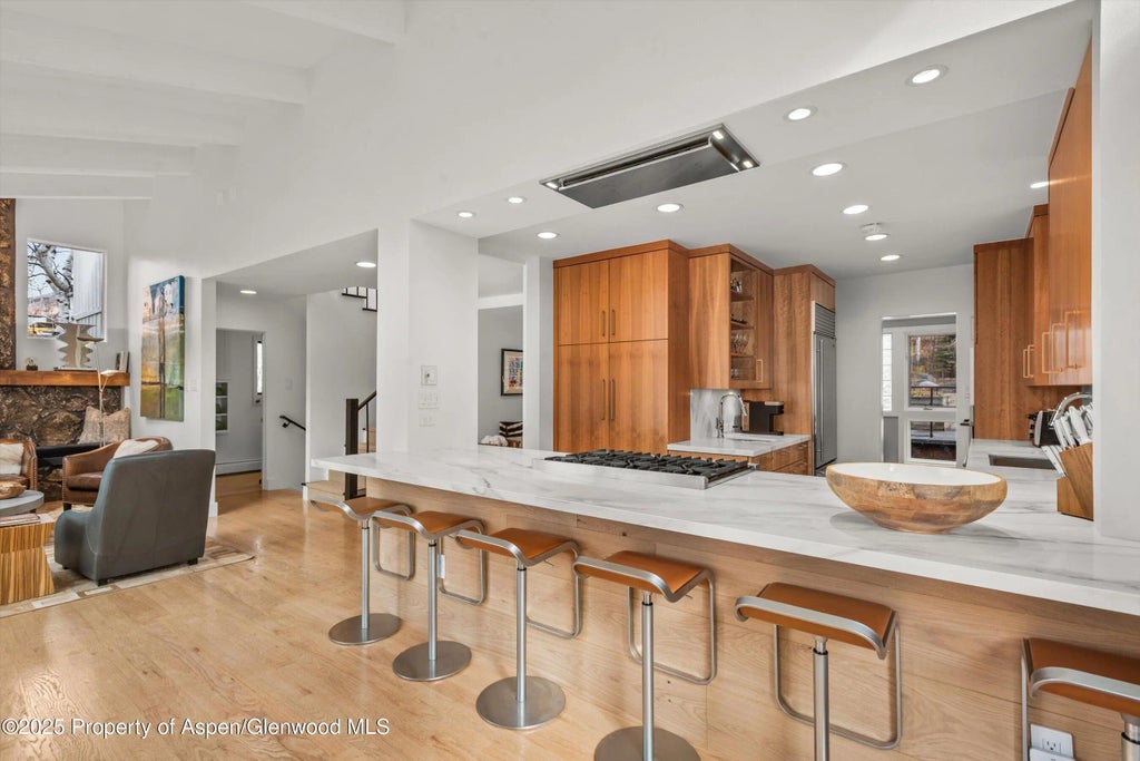 17 of 46 - 262 Eastwood Drive, Aspen, CO