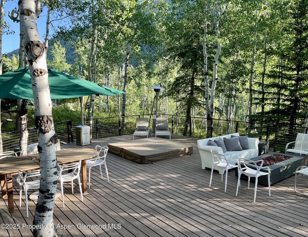 37 of 39 - 262 Eastwood Drive, Aspen, CO