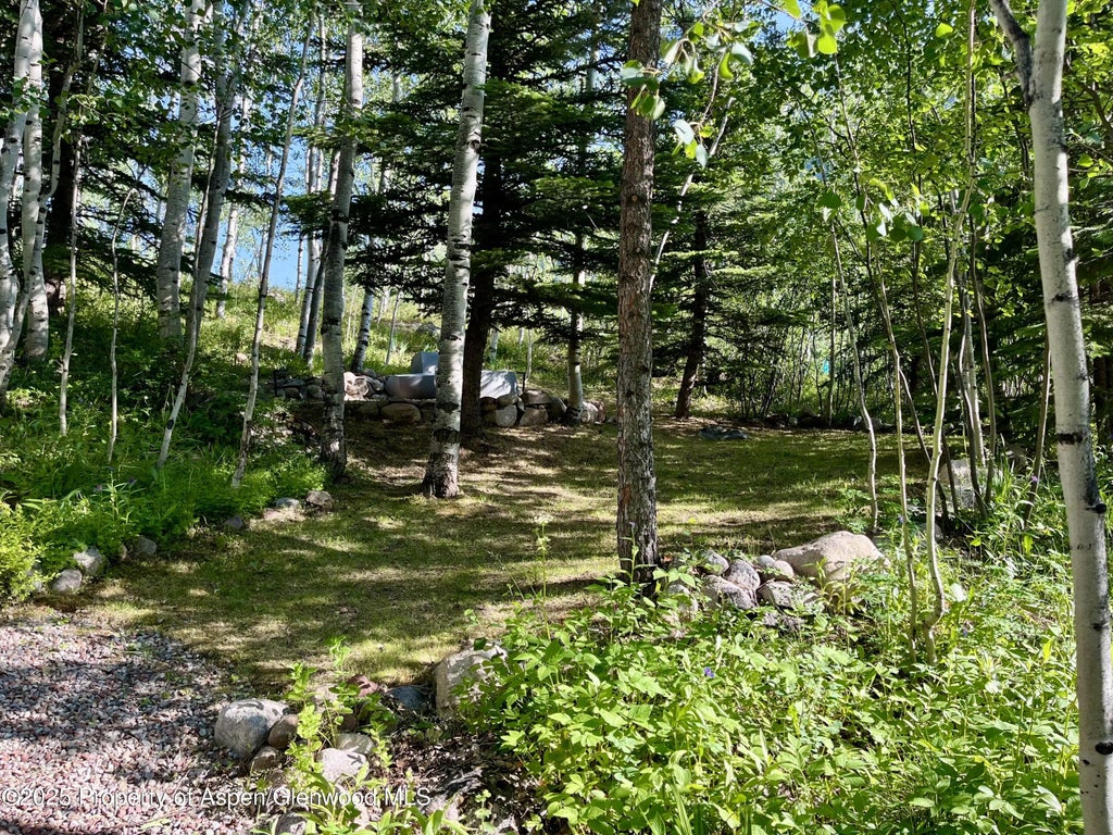 39 of 39 - 262 Eastwood Drive, Aspen, CO