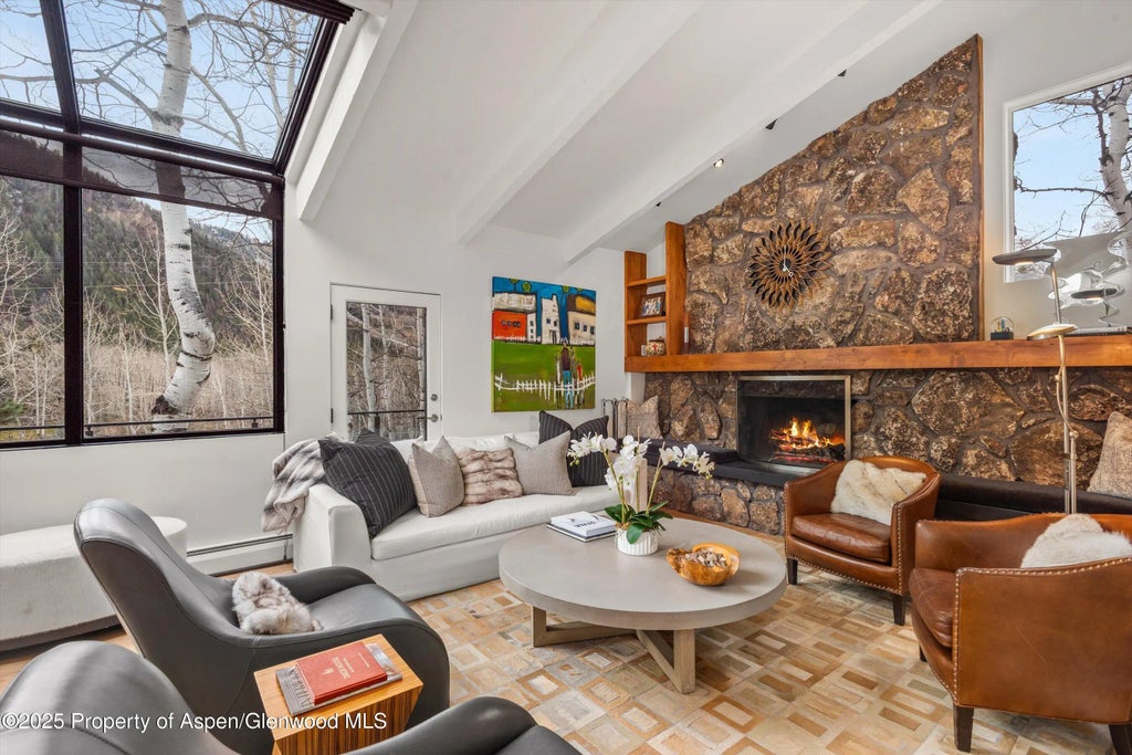 8 of 46 - 262 Eastwood Drive, Aspen, CO