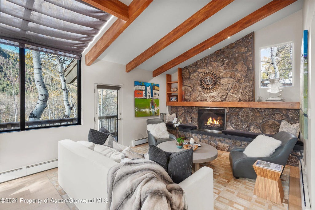 9 of 39 - 262 Eastwood Drive, Aspen, CO