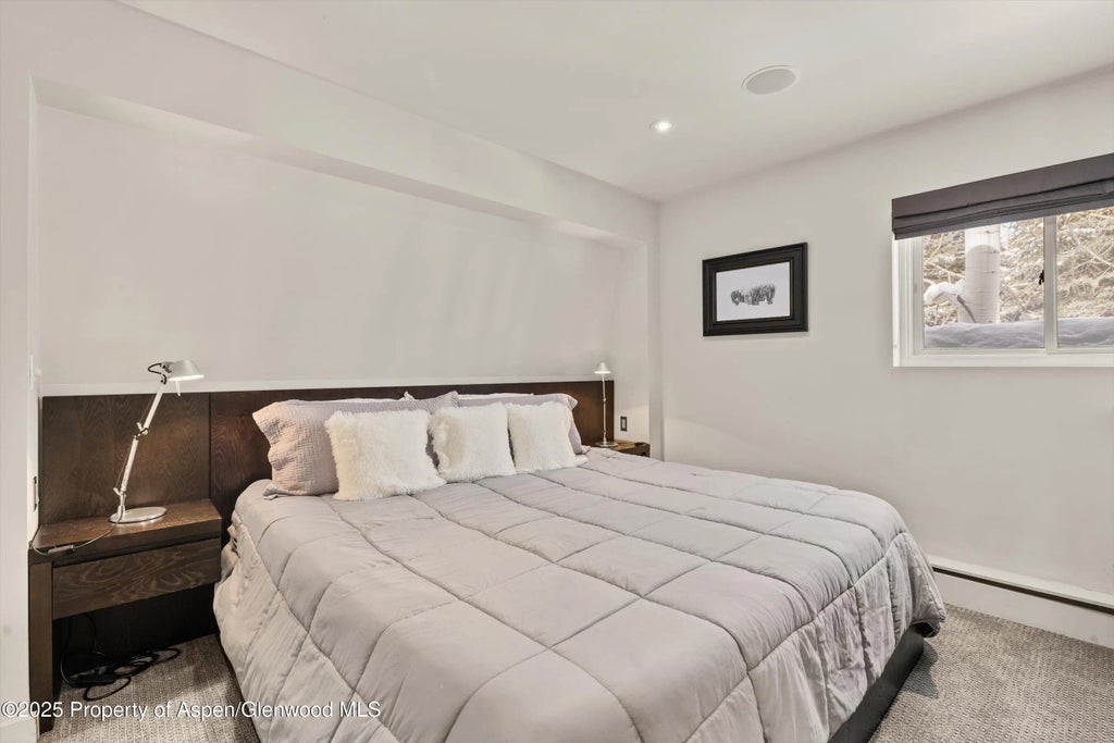 10 of 30 - 124 E Durant Avenue 6, Aspen, CO