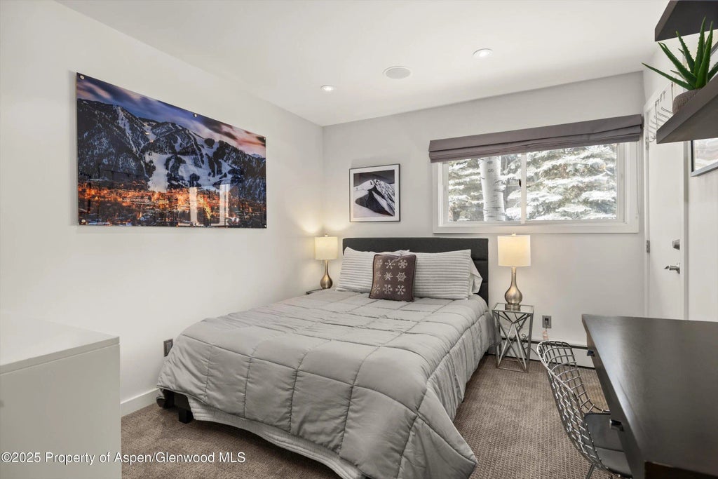 14 of 30 - 124 E Durant Avenue 6, Aspen, CO