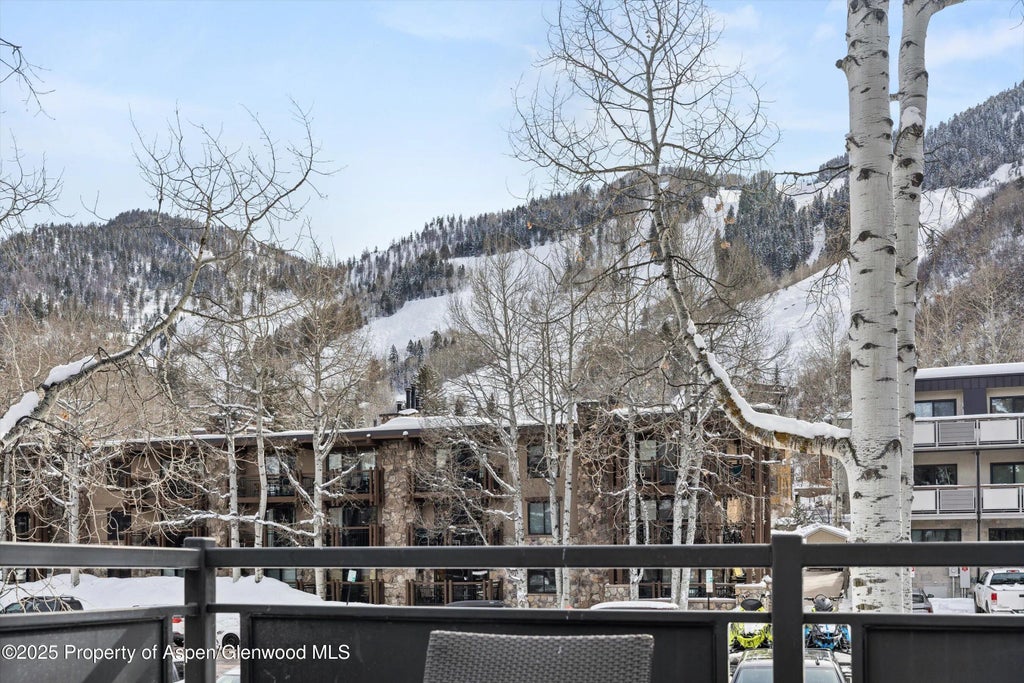 16 of 30 - 124 E Durant Avenue 6, Aspen, CO
