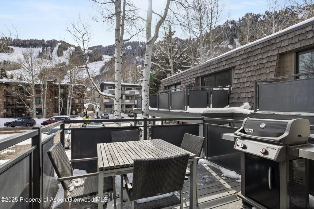 17 of 30 - 124 E Durant Avenue 6, Aspen, CO