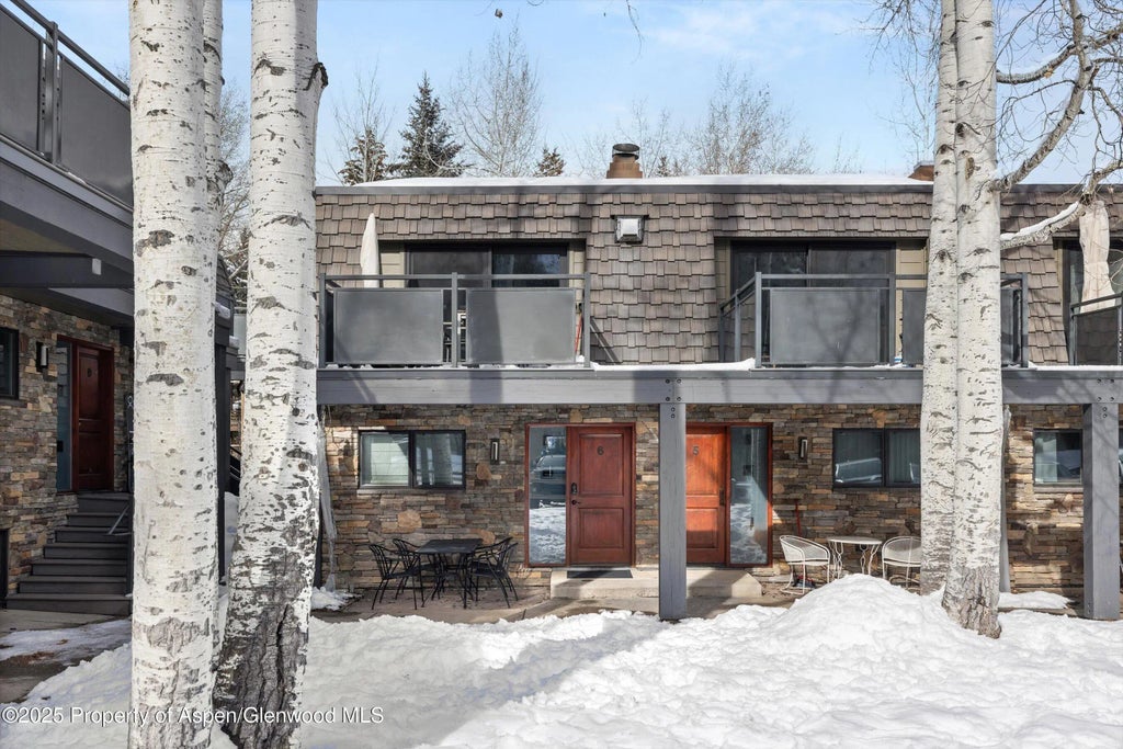 18 of 30 - 124 E Durant Avenue 6, Aspen, CO