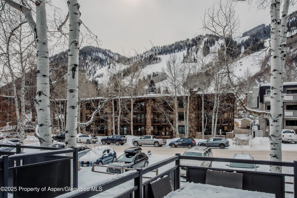 19 of 30 - 124 E Durant Avenue 6, Aspen, CO