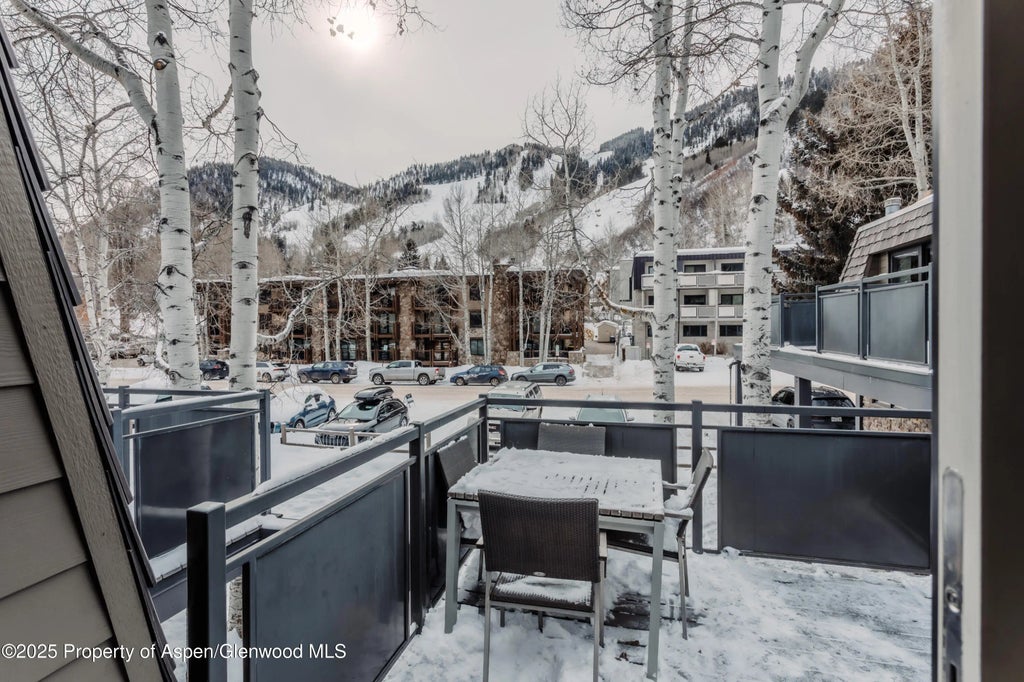 2 of 30 - 124 E Durant Avenue 6, Aspen, CO