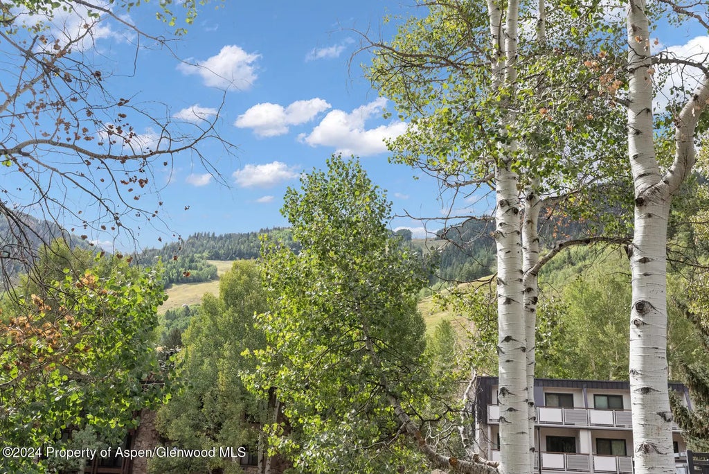 21 of 30 - 124 E Durant Avenue 6, Aspen, CO