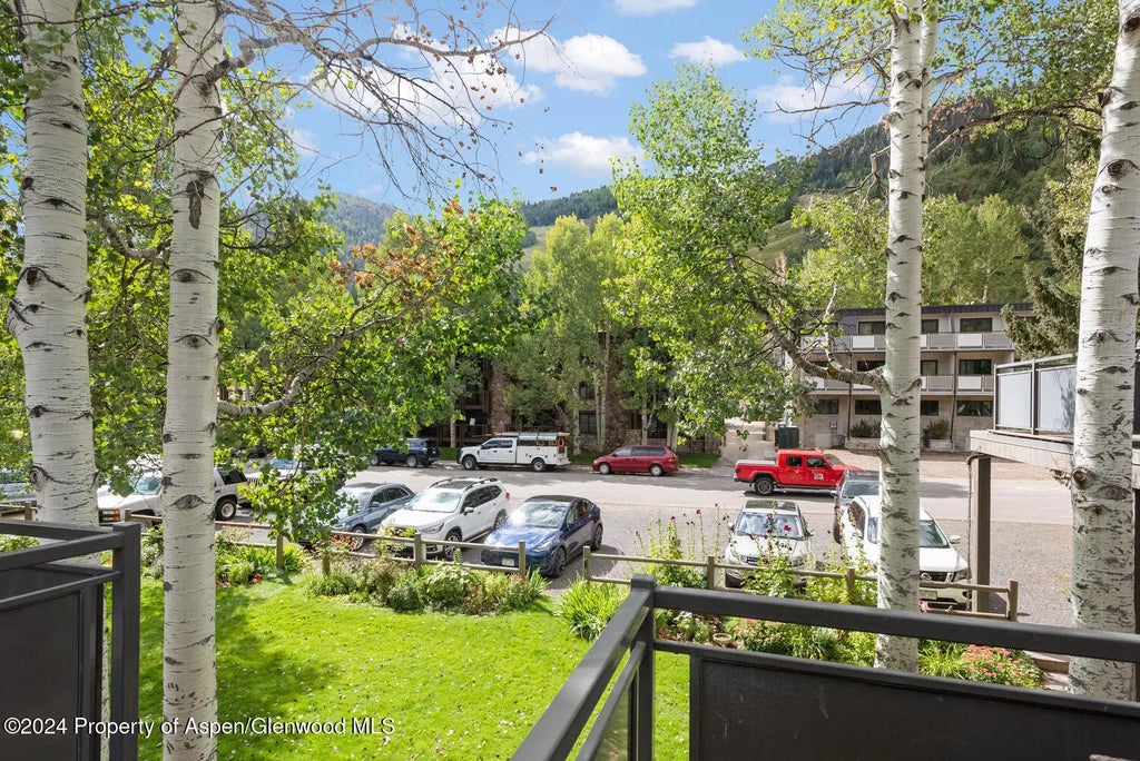 22 of 30 - 124 E Durant Avenue 6, Aspen, CO