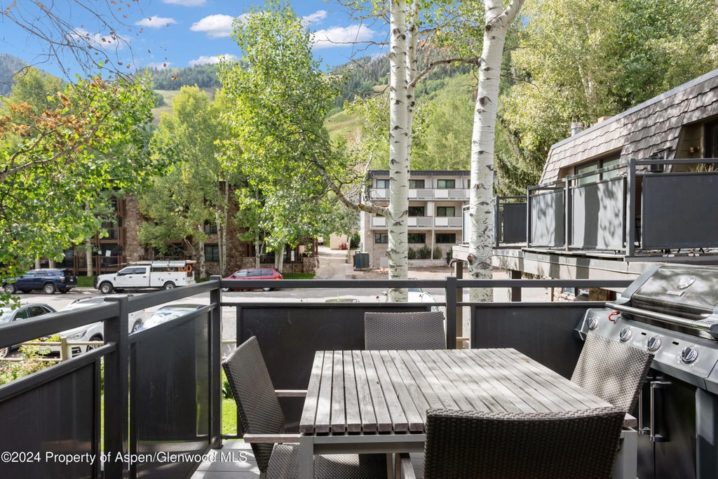 24 of 30 - 124 E Durant Avenue 6, Aspen, CO