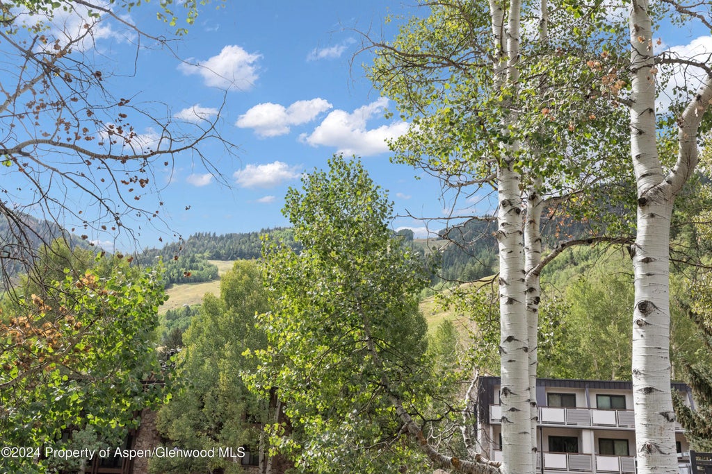 25 of 30 - 124 E Durant Avenue 6, Aspen, CO