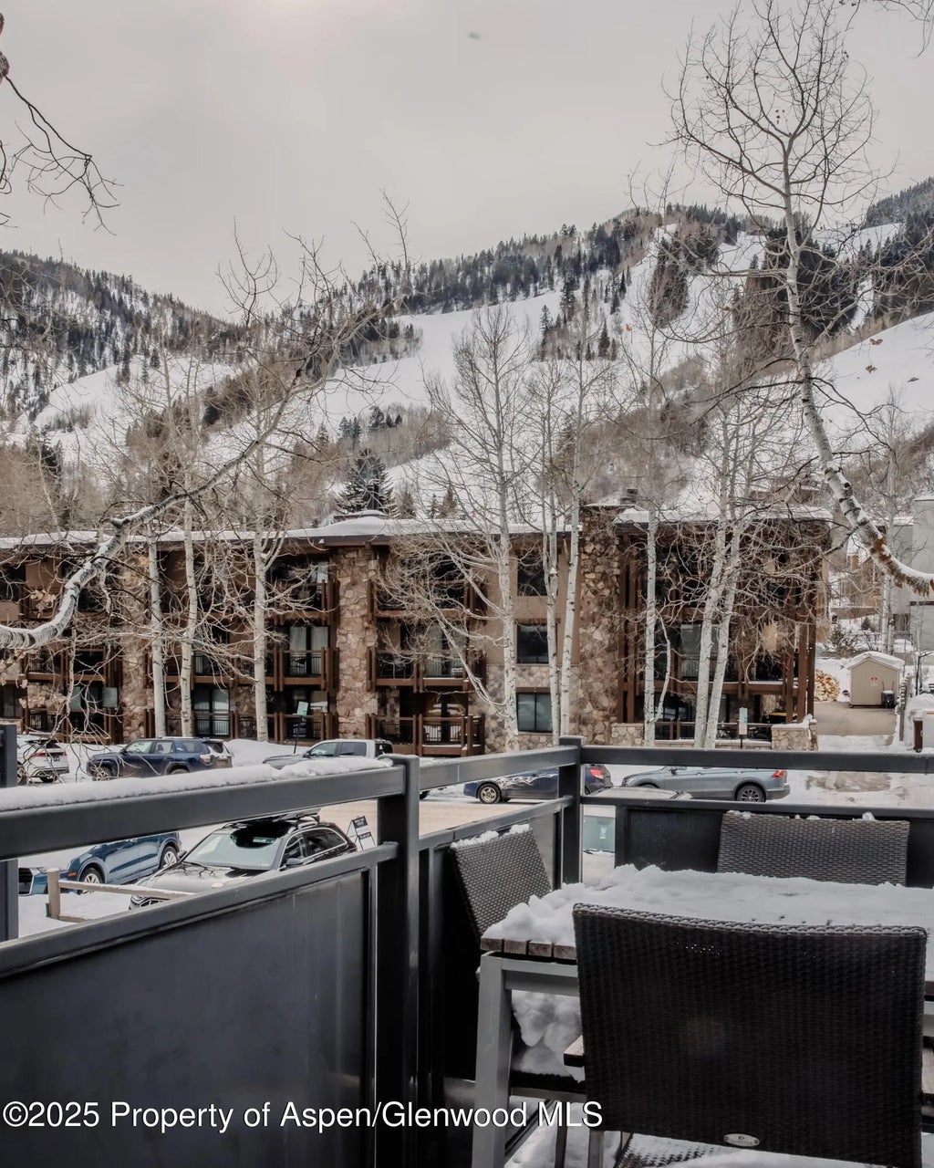 28 of 30 - 124 E Durant Avenue 6, Aspen, CO