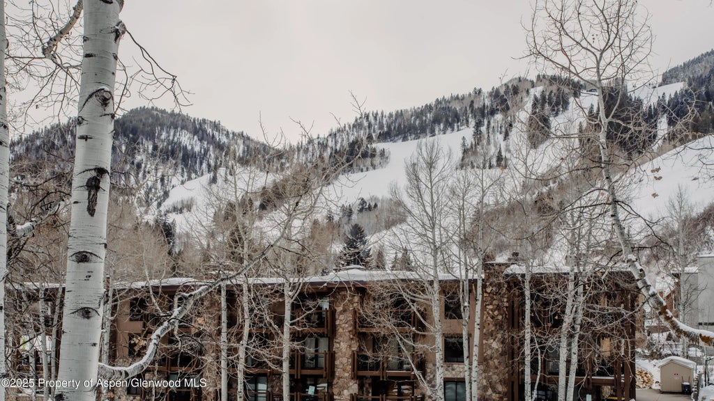 29 of 30 - 124 E Durant Avenue 6, Aspen, CO