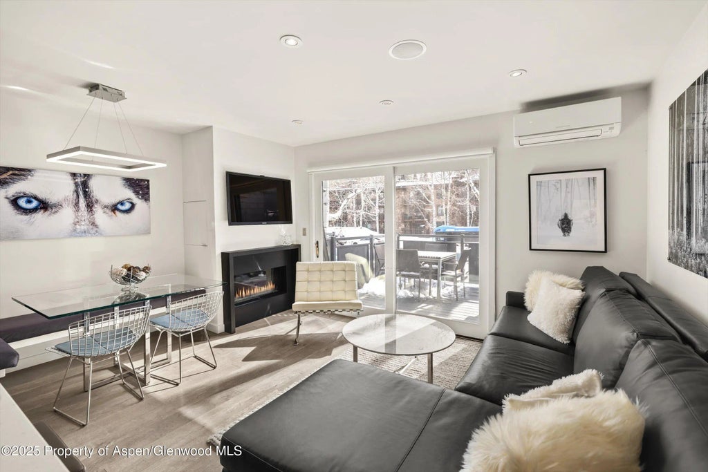 3 of 30 - 124 E Durant Avenue 6, Aspen, CO