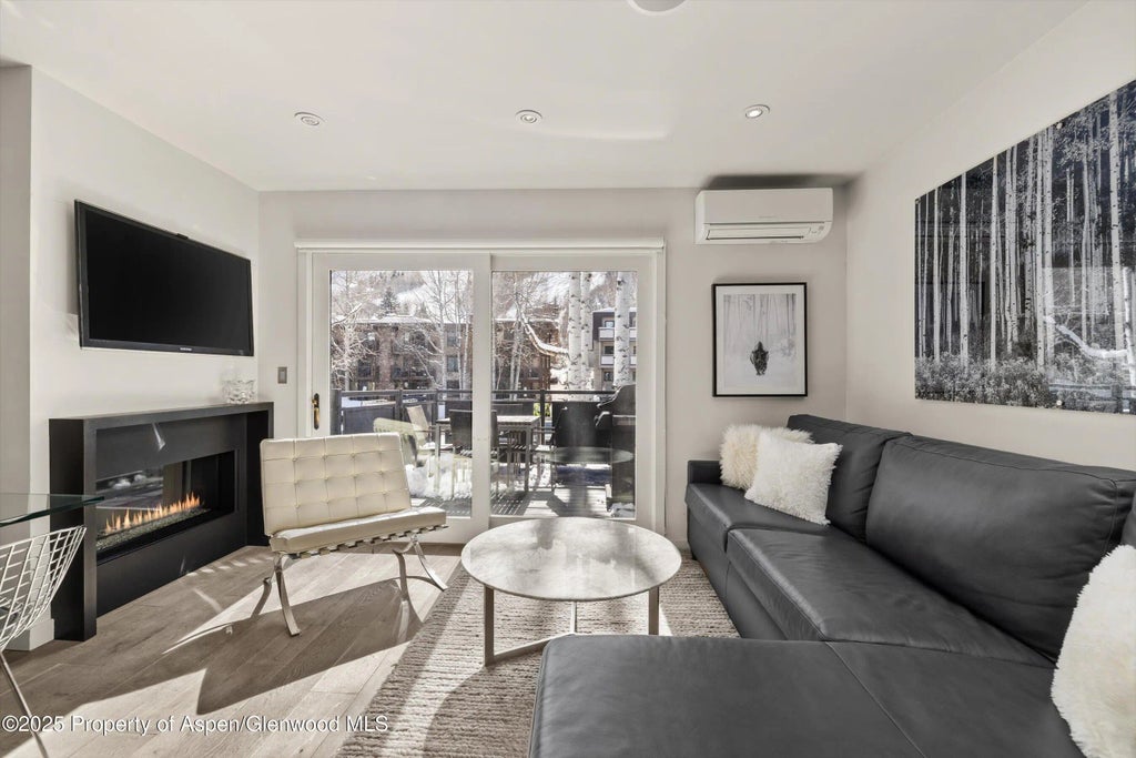 4 of 30 - 124 E Durant Avenue 6, Aspen, CO