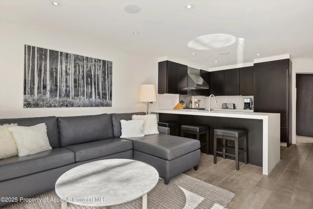 7 of 30 - 124 E Durant Avenue 6, Aspen, CO