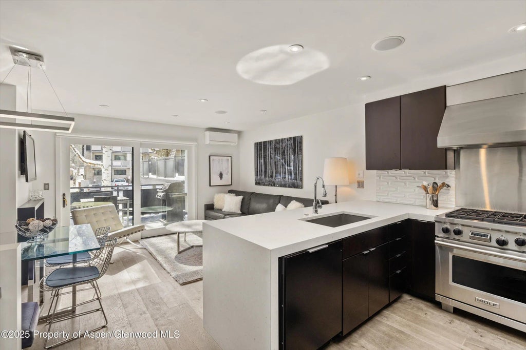 9 of 30 - 124 E Durant Avenue 6, Aspen, CO