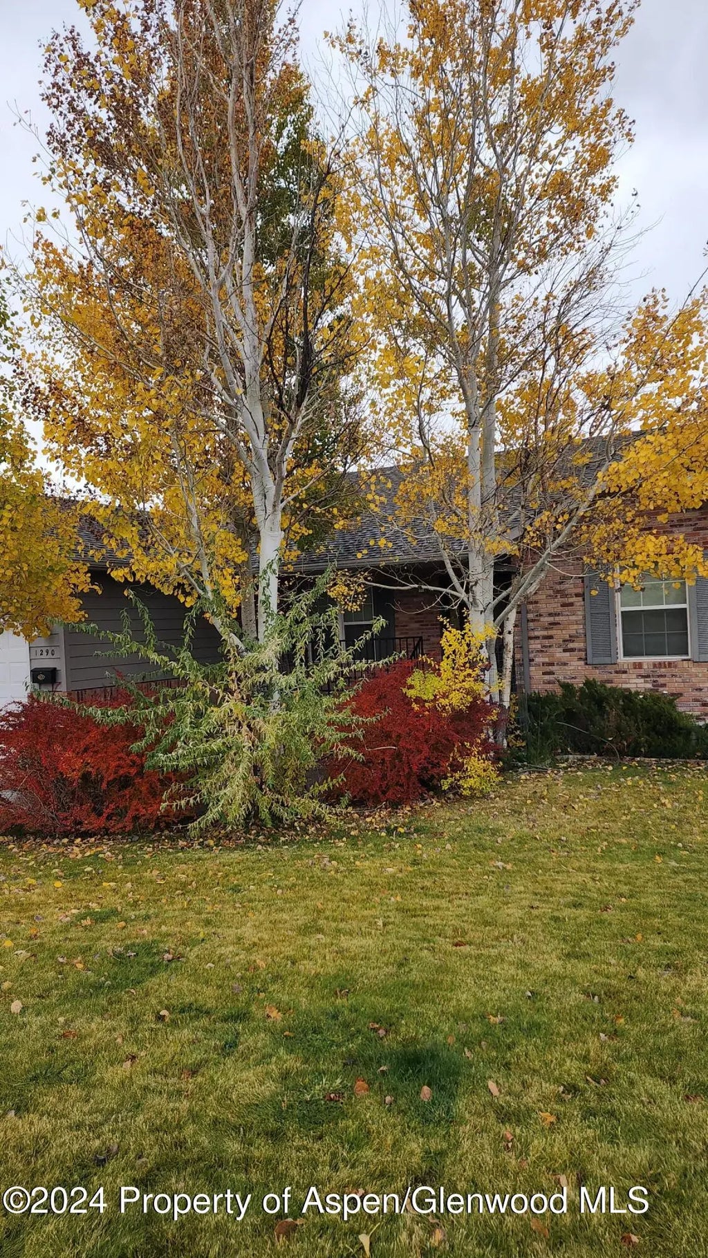 78 of 79 - 1290 Alta Vista Drive, Craig, CO