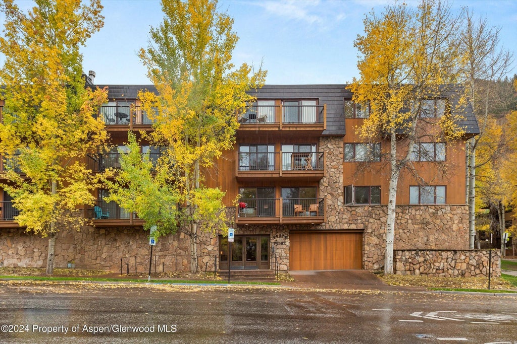 12 of 12 - 205 E Durant Avenue 1c, Aspen, CO