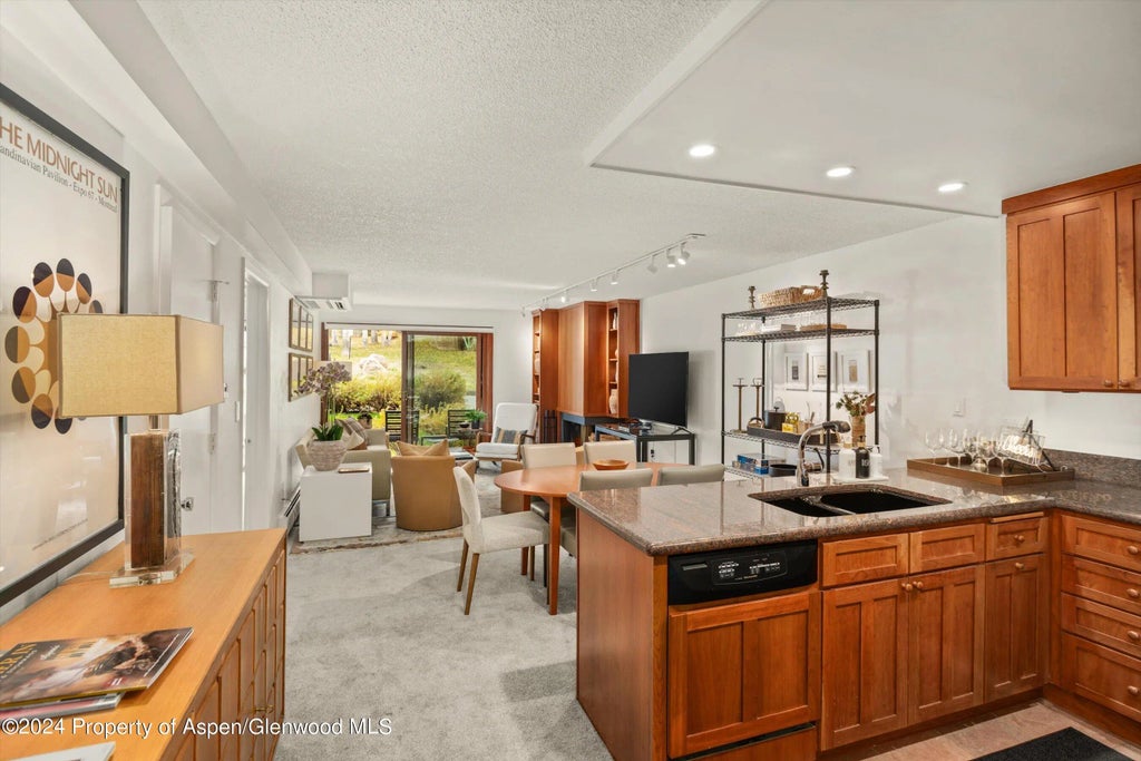 6 of 12 - 205 E Durant Avenue 1c, Aspen, CO