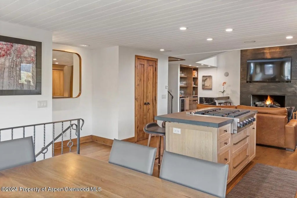 13 of 26 - 809 S Aspen Street #1, Aspen, CO
