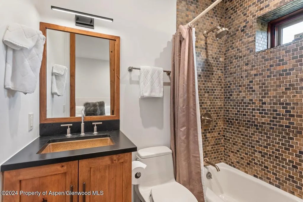 18 of 26 - 809 S Aspen Street #1, Aspen, CO