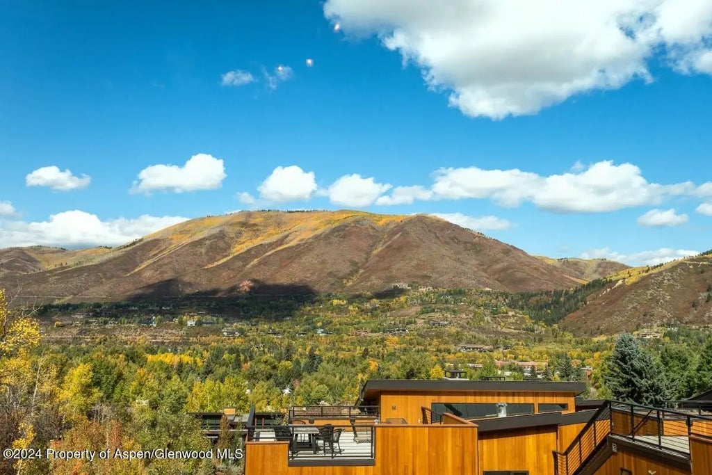 23 of 26 - 809 S Aspen Street #1, Aspen, CO