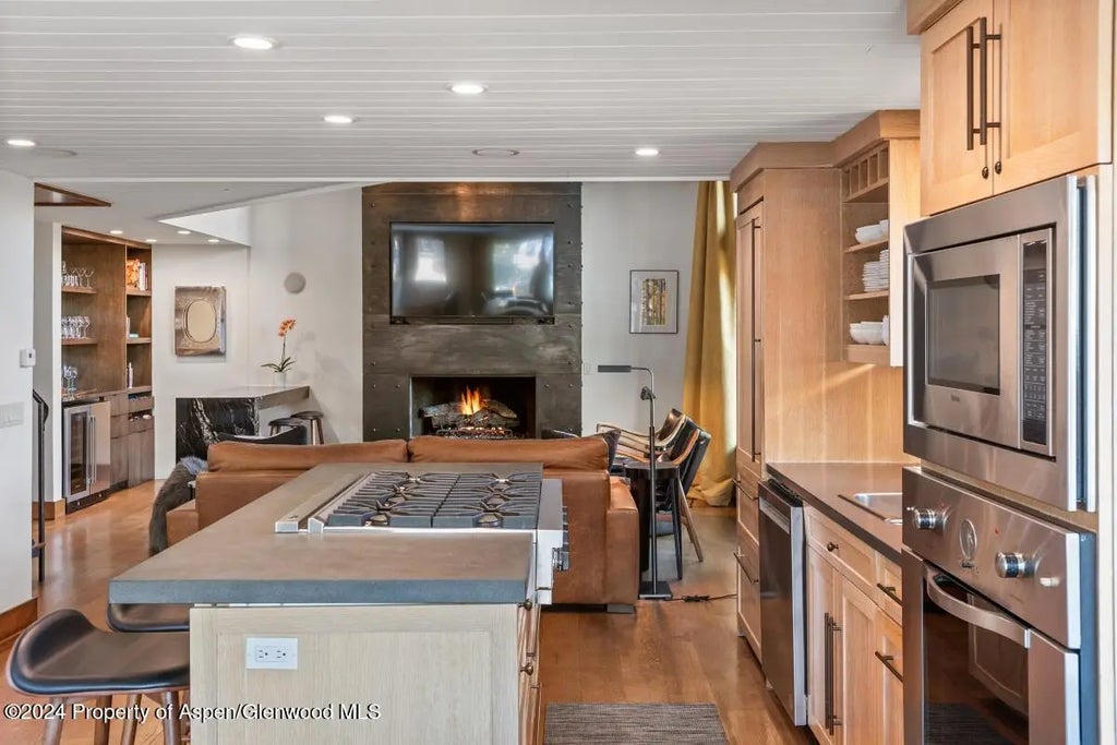 9 of 26 - 809 S Aspen Street #1, Aspen, CO