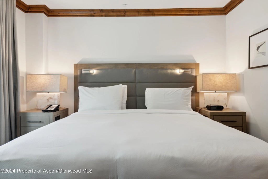 17 of 26 - 415 E Dean Street 44abc Weeks 51/52, Aspen, CO