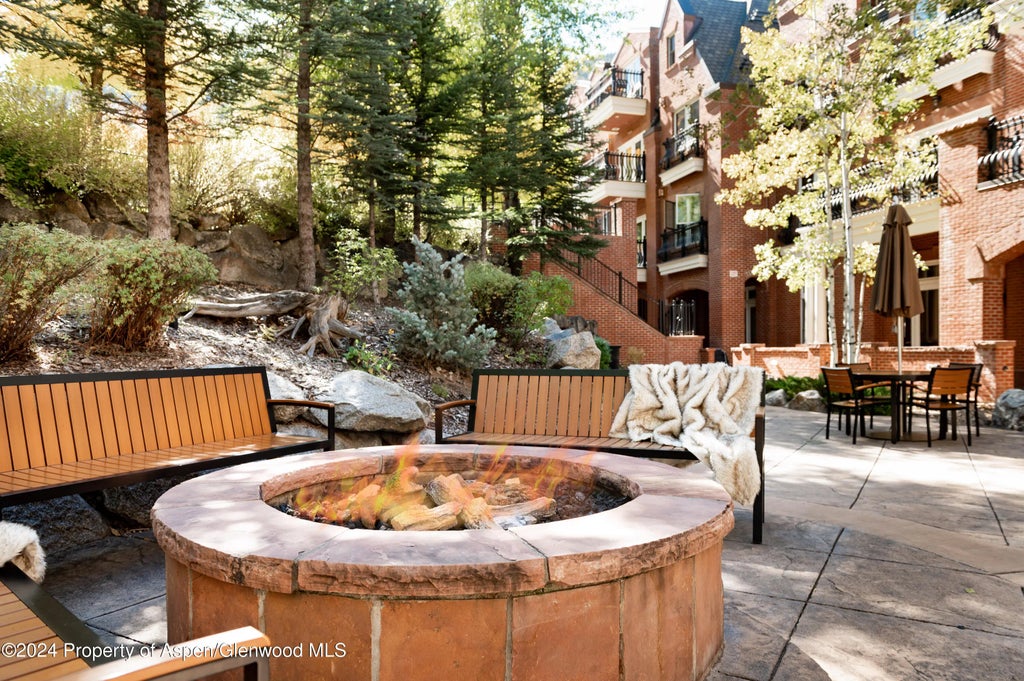 22 of 26 - 415 E Dean Street 44abc Weeks 51/52, Aspen, CO