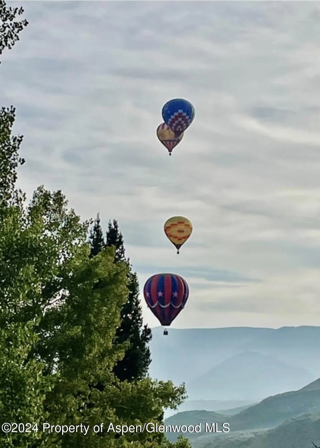 47 of 48 - 71 Meadow Road, Snowmass Village, CO
