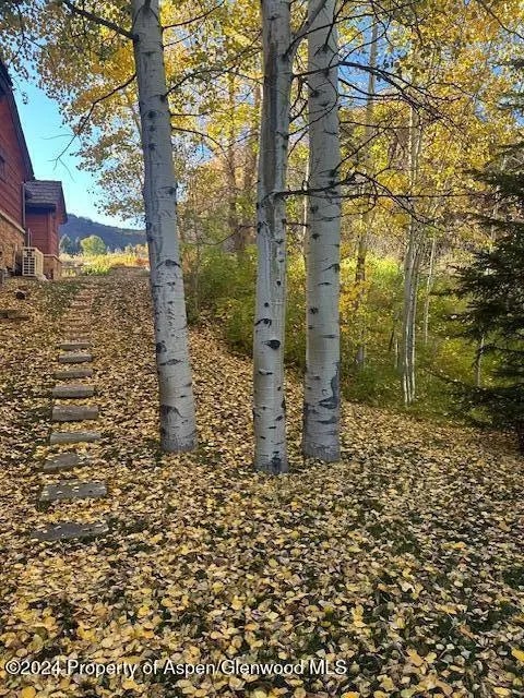 48 of 48 - 71 Meadow Road, Snowmass Village, CO