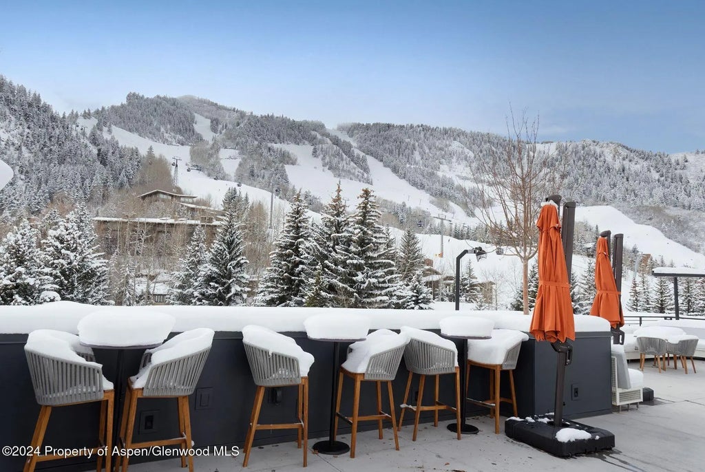 13 of 20 - 550 S Spring Street, Aspen, CO