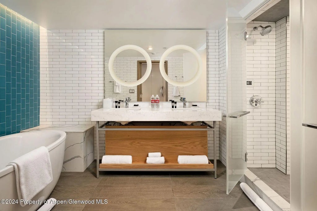 3 of 20 - 550 S Spring Street, Aspen, CO