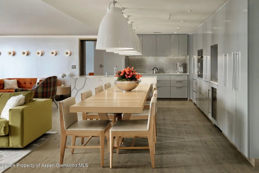 5 of 20 - 550 S Spring Street, Aspen, CO